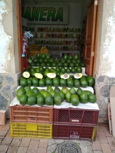 tienda aguacates