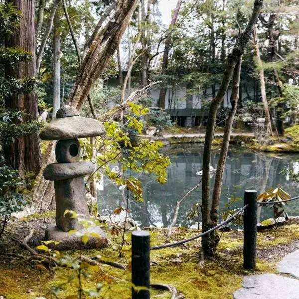 Baños de Bosque (Shinrin-yoku)