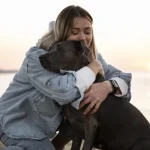 muerte perro