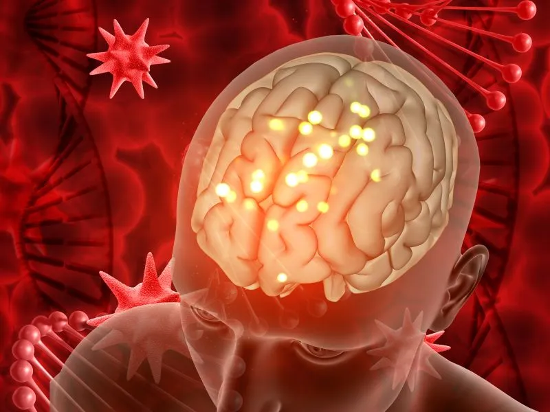 red neuronal por defecto